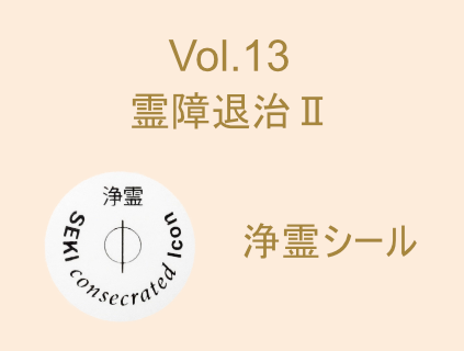 Vol.13