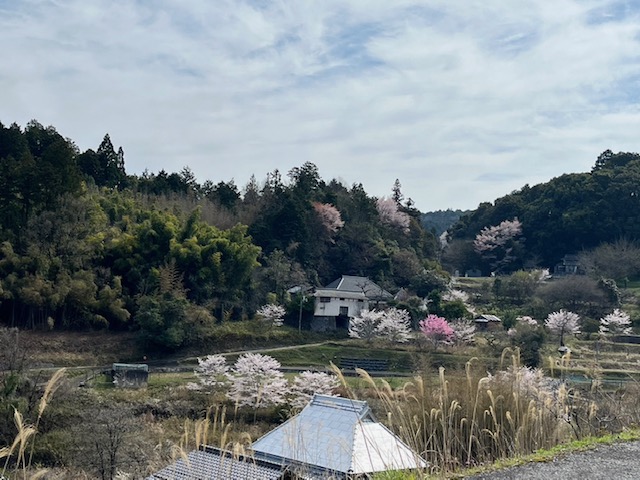 波動意識農法～地球再生計画～
